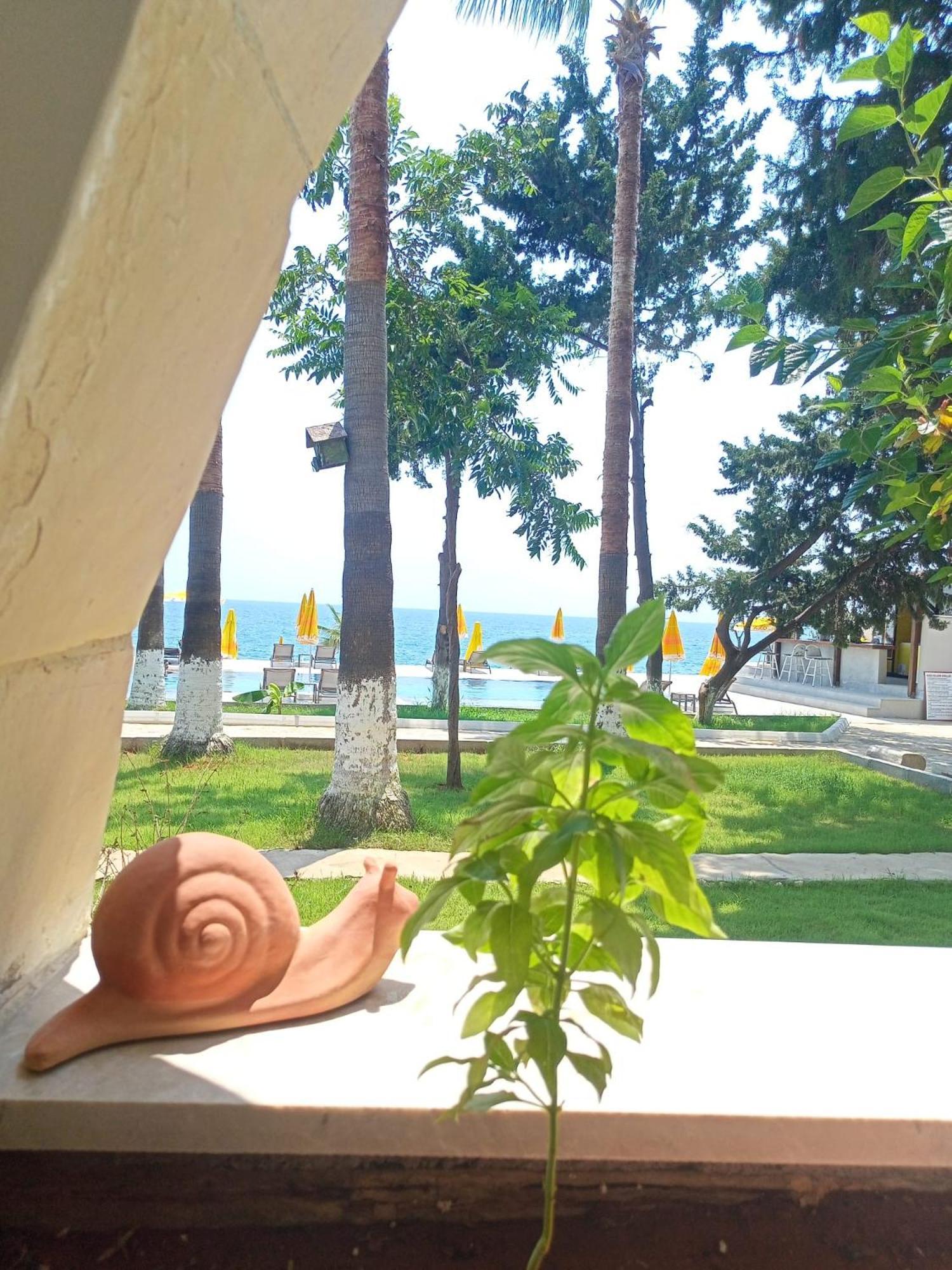 Casalita Hotel Kizkalesi Exterior photo